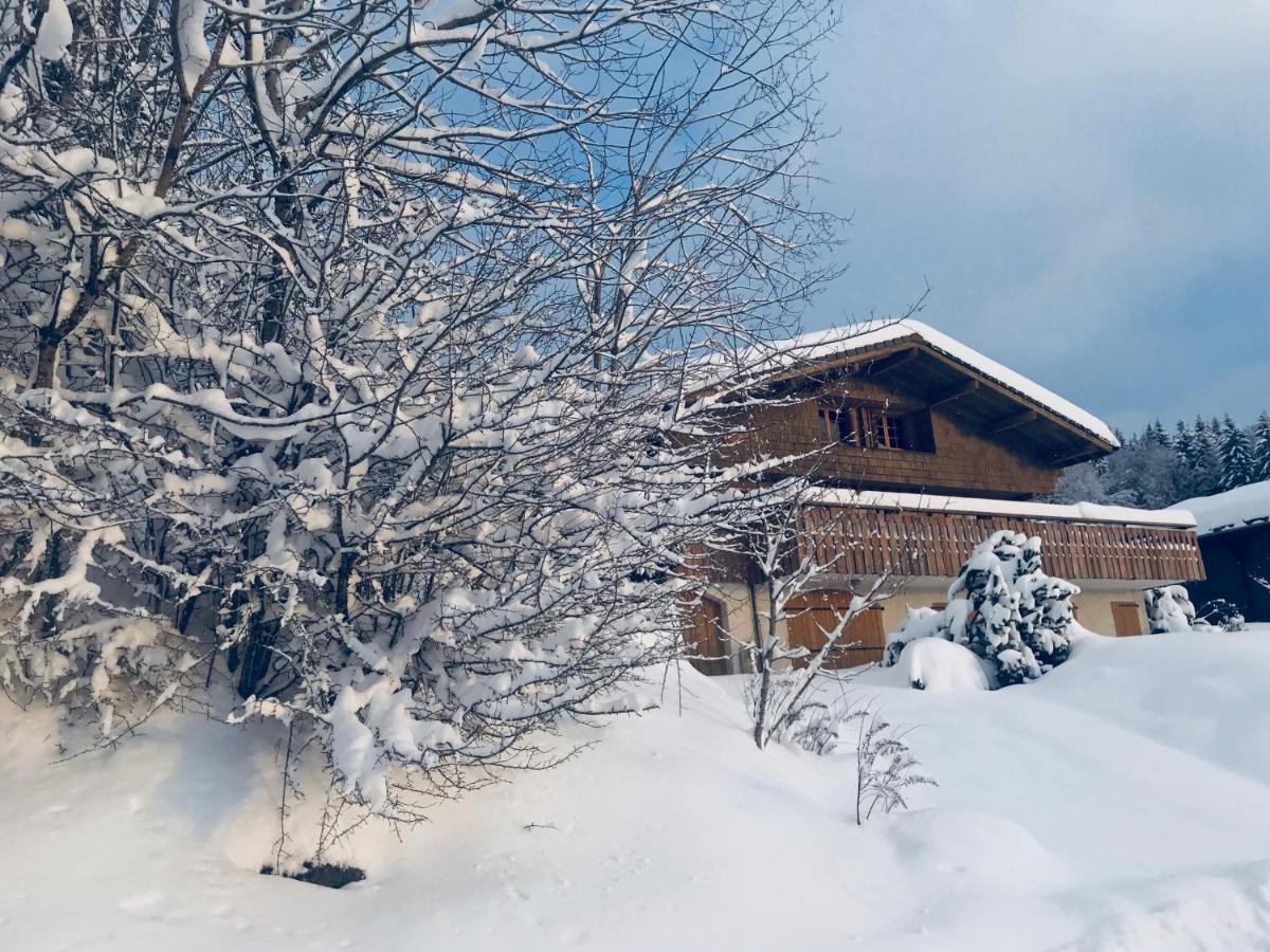 Chalet Les Marmottes Saint-Jean-de-Sixt Exterior photo